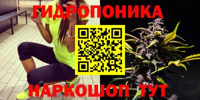 первитин Камышлов