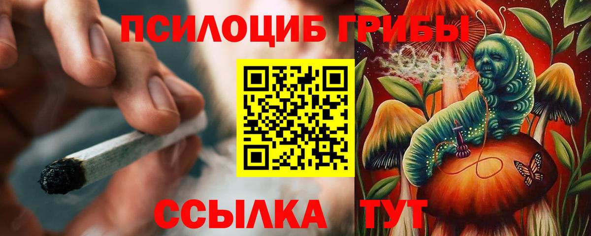 Псилоцибиновые грибы мухоморы Кузнецк