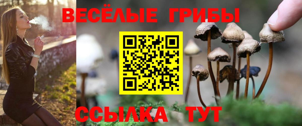 Кузнецк  наркота  Вход с VPN  Псилоцибиновые грибы Cubensis 